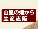 R̔琶Y