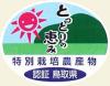 ICON�摜