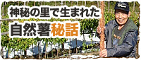 神秘の里で生まれた自然薯秘話