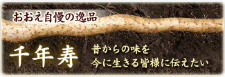 ̈i Ni˂񂶂j