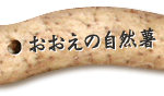 おおえの自然薯