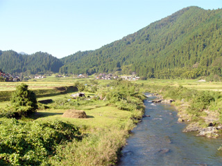 挧쒬