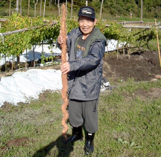 自然薯屋おおえ 初代おおえ爺さん