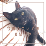 ʐ^